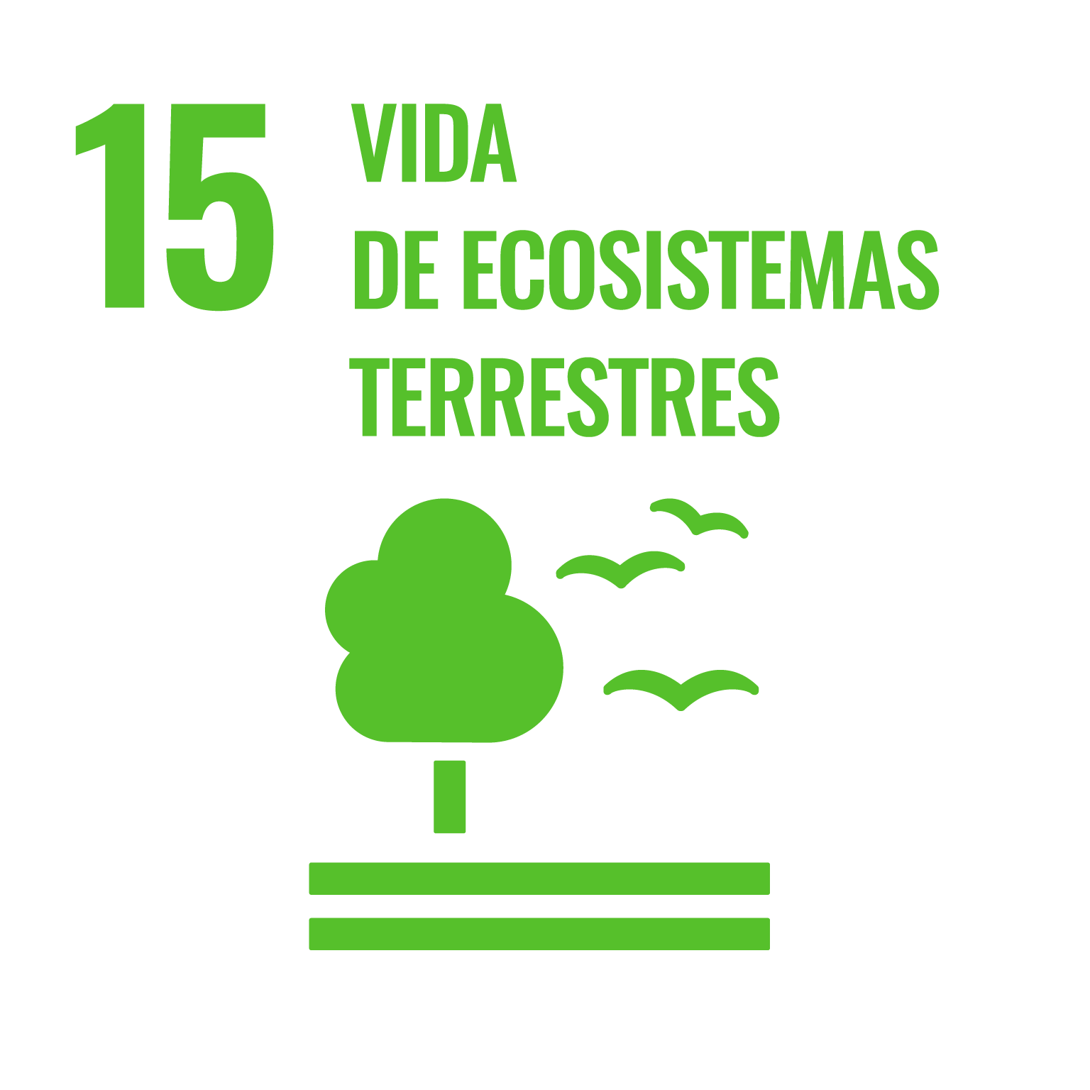 Vida de ecosistemas terrestres